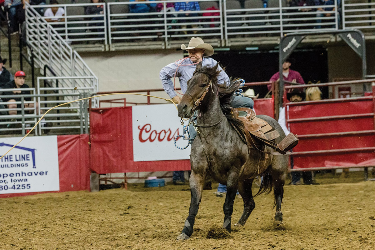 Person on horse at rodeo